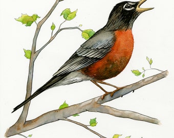 Spring robin | Etsy