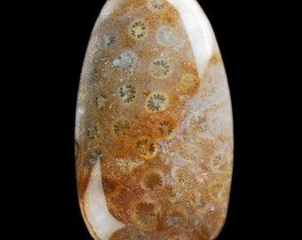 A natural Ammonite Fossil Pendant stone (298)