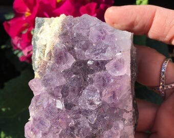 small amethyst cluster