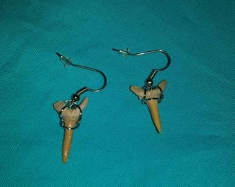 Shark tooth earrings - shark tooth jewelry - fossil