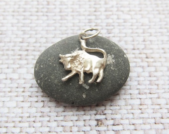 Taurus pendant Taurus gift Zodiac jewelry Taurus necklace gift for taurus zodiac sign pendant Zodiac pendant Taurus charm Taurus jewellery