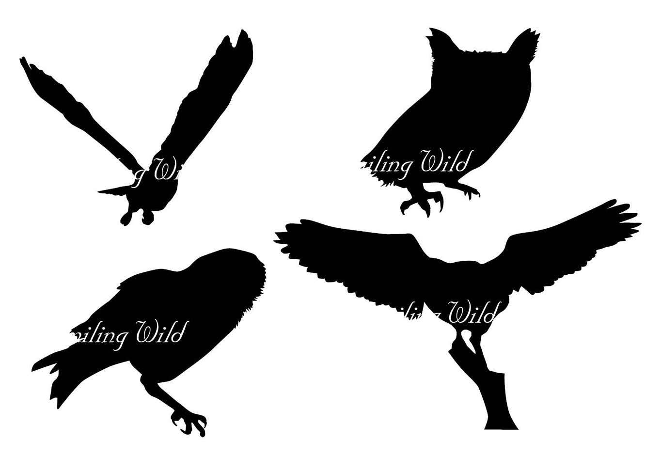 Download owl clipart vector art, owl svg, bird clipart, cute owls ...