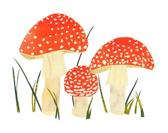 Amanita muscaria - Giclee Print of an Original Collage