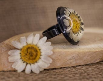 real daisies (daisy) in resin ring-einstellbar