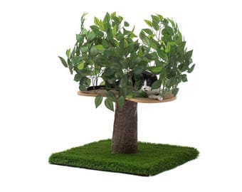 On 2 Tree Cat Condo Small, Tree House Tower for Climbing, Playing, Scratching, and Relaxing - 24 in. high