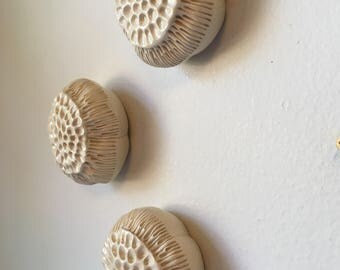 Three Cream White Bloom Pods Wall Art 3