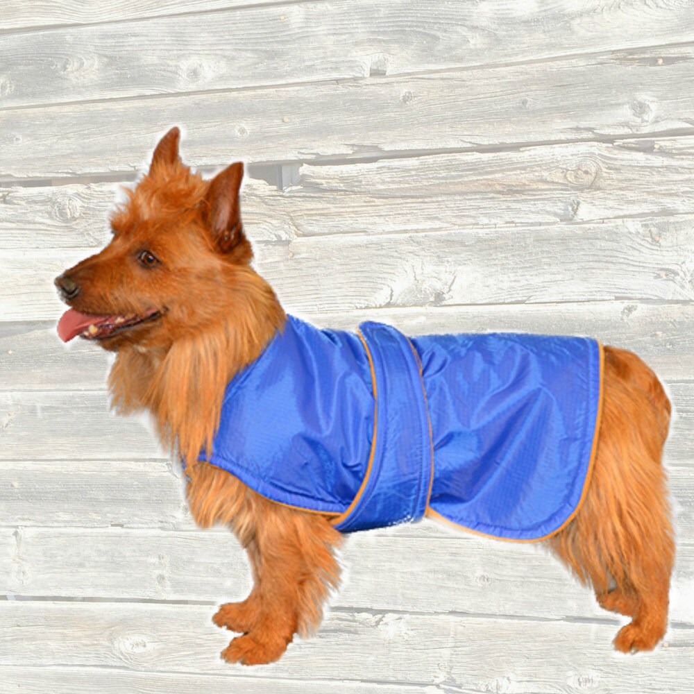 Winter Dog Coat custom made with tummy panel for your dog