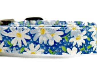 Awesome Blue Daisy Flowers Dog Collar