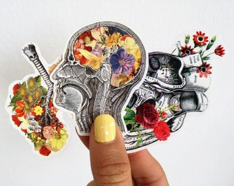 Anatomy stickers set, Human brain, heart and lungs with flowers, laptop stickers,Decal stickers , Medical student gift, science gift STC001