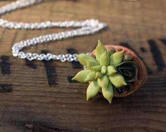 Green Succulent Necklace Pendant Wholesale Succulent Plants 5 cm Nut Shell Pendant Jewelry Succulent Wedding Bridal Birthday Gifts