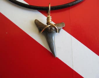 Shark Tooth Necklace,Sand Tiger Shark fossil, Venice-Florida, 18" leather, Brass wire wrapped