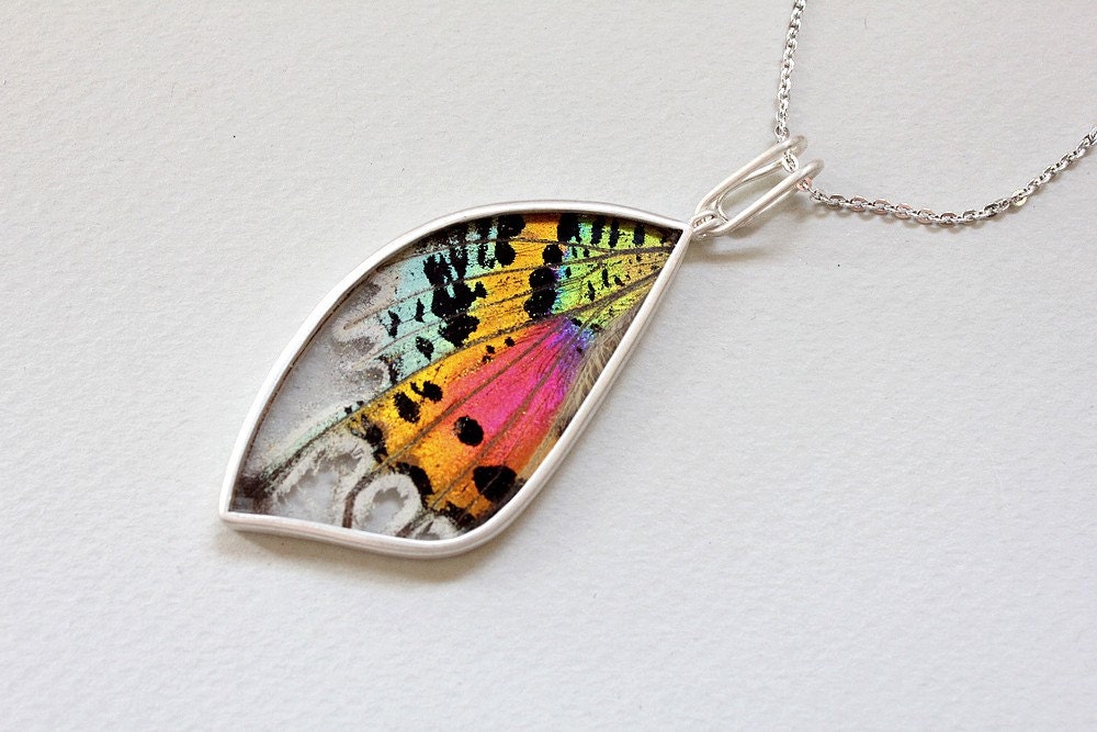 Real butterfly gifts. Preserved specimen. Butterfly necklace.