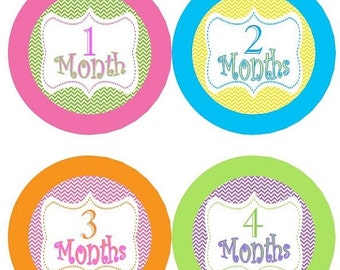 SALE Baby Monthly Milestone Growth Stickers by GinaMarieOriginals