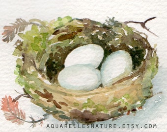 Nest Aceo, Original watercolour painting