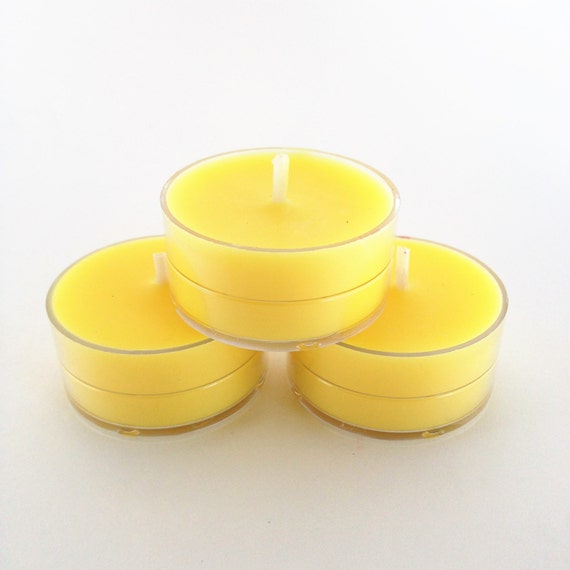 Soy Tea Light Candles Enchanted Apple One Dozen Set of