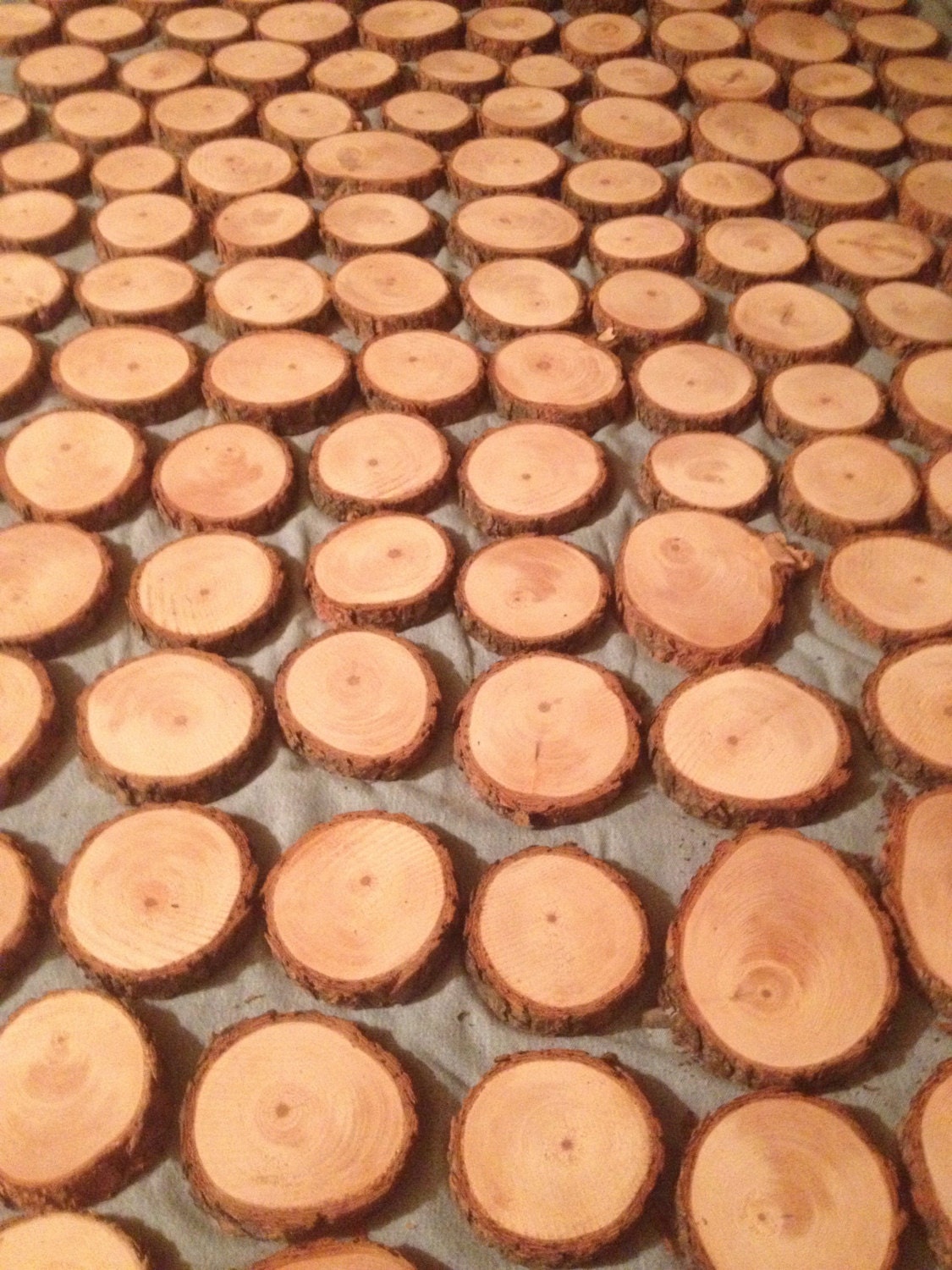 100 NATURAL Pine Wood slices 3inch to 4inch