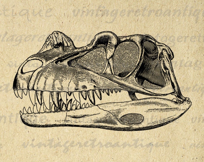 Digital Printable Dinosaur Skull Image Digital Dinosaur Graphic Clipart Download Illustration Antique Clip Art Jpg Png Eps HQ 300dpi No.2139