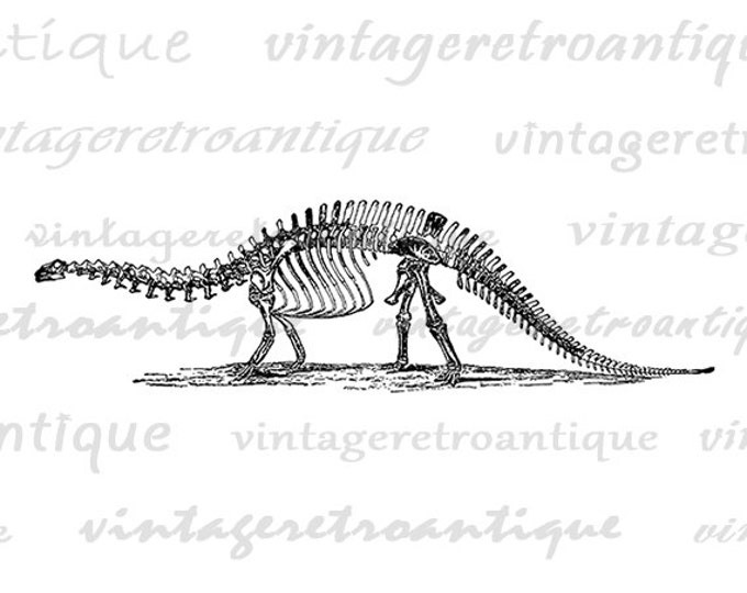 Brontosaurus Dinosaur Skeleton Printable Digital Graphic Image Download Vintage Clip Art Jpg Png Eps HQ 300dpi No.2728