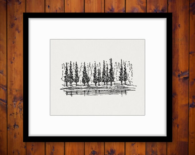 Printable Digital Pine Trees Download Antique Image Graphic Vintage Clip Art Jpg Png Eps HQ 300dpi No.830