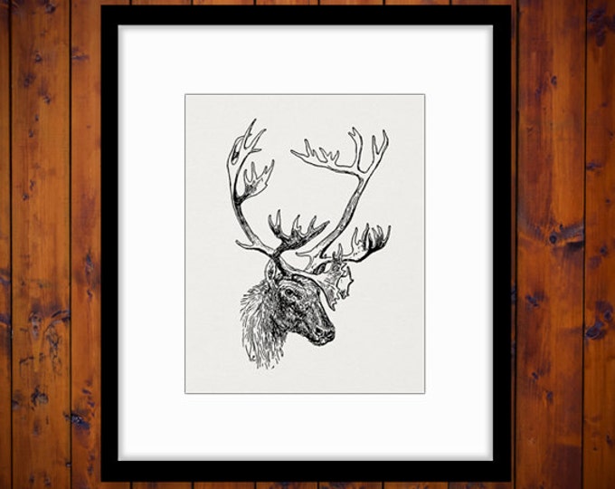 Printable Image Deer with Antlers Graphic Animal Digital Download Vintage Clip Art Jpg Png Eps HQ 300dpi No.497