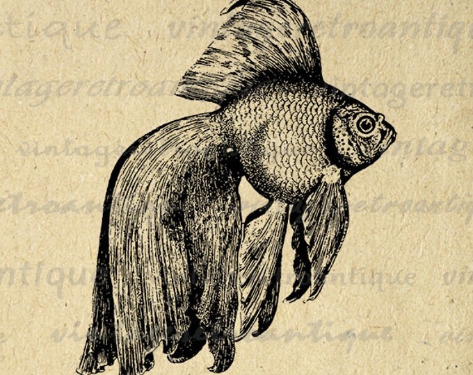 Digital Printable Goldfish Image Fish Graphic Illustration Download Vintage Clip Art Jpg Png Eps HQ 300dpi No.3592