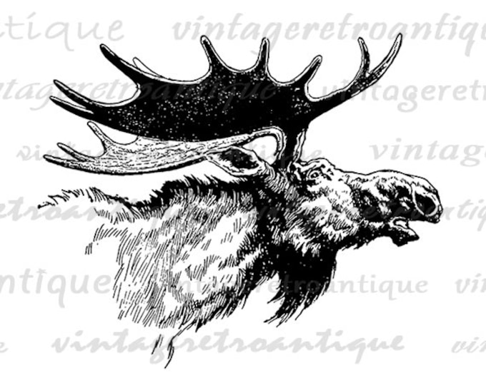 Antique Moose Illustration Digital Printable Graphic Moose Image Download Vintage Clip Art Jpg Png Eps HQ 300dpi No.3585