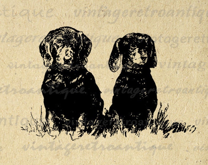 Two Dachshund Wiener Dogs Printable Digital Download Graphic Illustration Image Antique Clip Art Jpg Png Eps HQ 300dpi No.3473