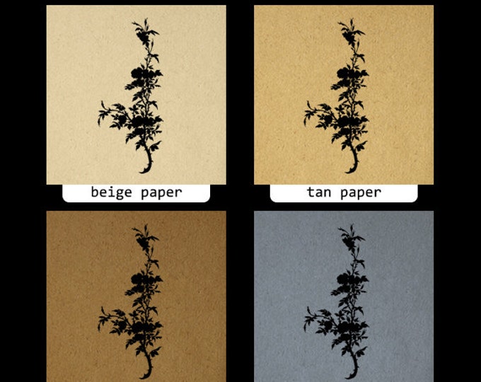 Flower Plant Silhouette Digital Image Download Graphic Printable Vintage Clip Art Jpg Png Eps HQ 300dpi No.3603