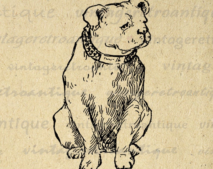 Digital Printable Antique Dog Image Cute Antique Graphic Download Vintage Clip Art Jpg Png Eps HQ 300dpi No.287