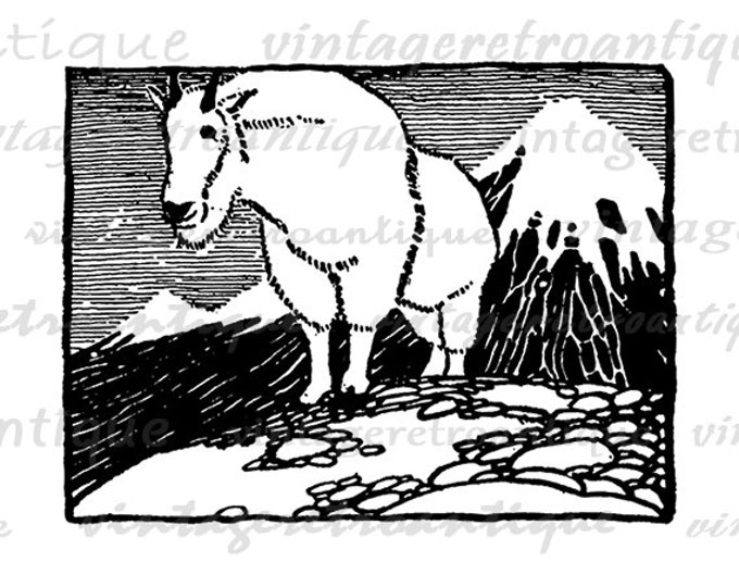 Digital Image Mountain Goat Printable Illustration Graphic Download Antique Clip Art Jpg Png Eps HQ 300dpi No.1648