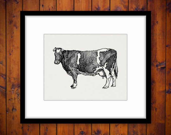 Printable Image Holstein Cow Graphic Farm Animal Digital Download Antique Clip Art Jpg Png Eps HQ 300dpi No.3497