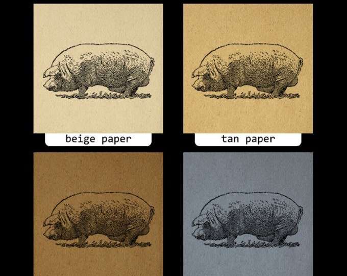 Boar Pig Image Graphic Printable Download Digital Illustration Antique Clip Art Jpg Png Eps HQ 300dpi No.3229