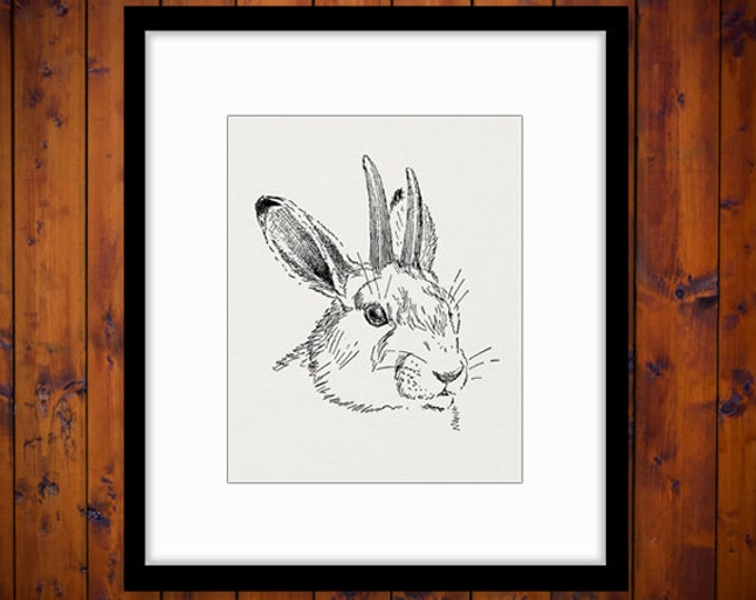 Digital Printable Jackolope Graphic Rabbit Image Bunny Download Vintage Clip Art for Transfers Printing etc HQ 300dpi No.1106