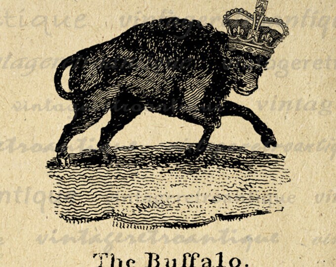 Buffalo with Crown Printable Graphic Image Illustration Digital Download Vintage Clip Art Jpg Png Eps HQ 300dpi No.1077