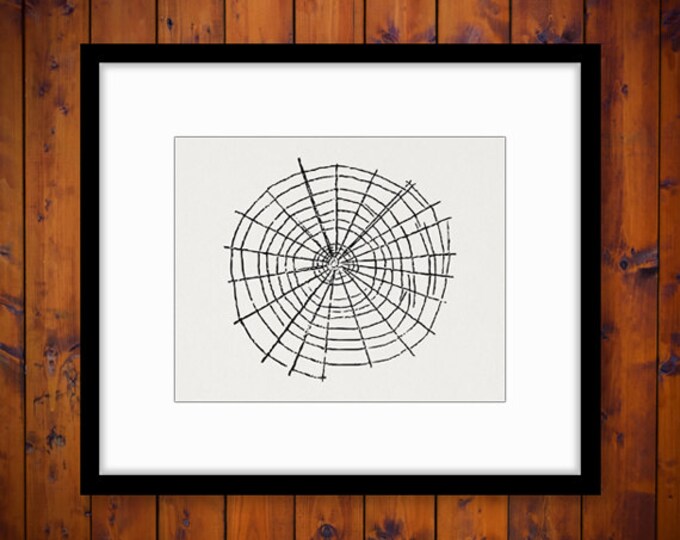 Spiderweb Digital Graphic Image Spider Web Insect Halloween Download Spiderweb Printable for Transfers T-Shirts Pillows HQ 300dpi No.4616