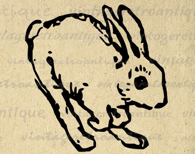 Rabbit Graphic Digital Download Bunny Image Nursery Jumping Rabbit Printable for Transfers Pillows Tea Towels etc HQ 300dpi No.4622