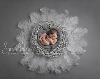 Newborn Digital Background - White Feather Nest