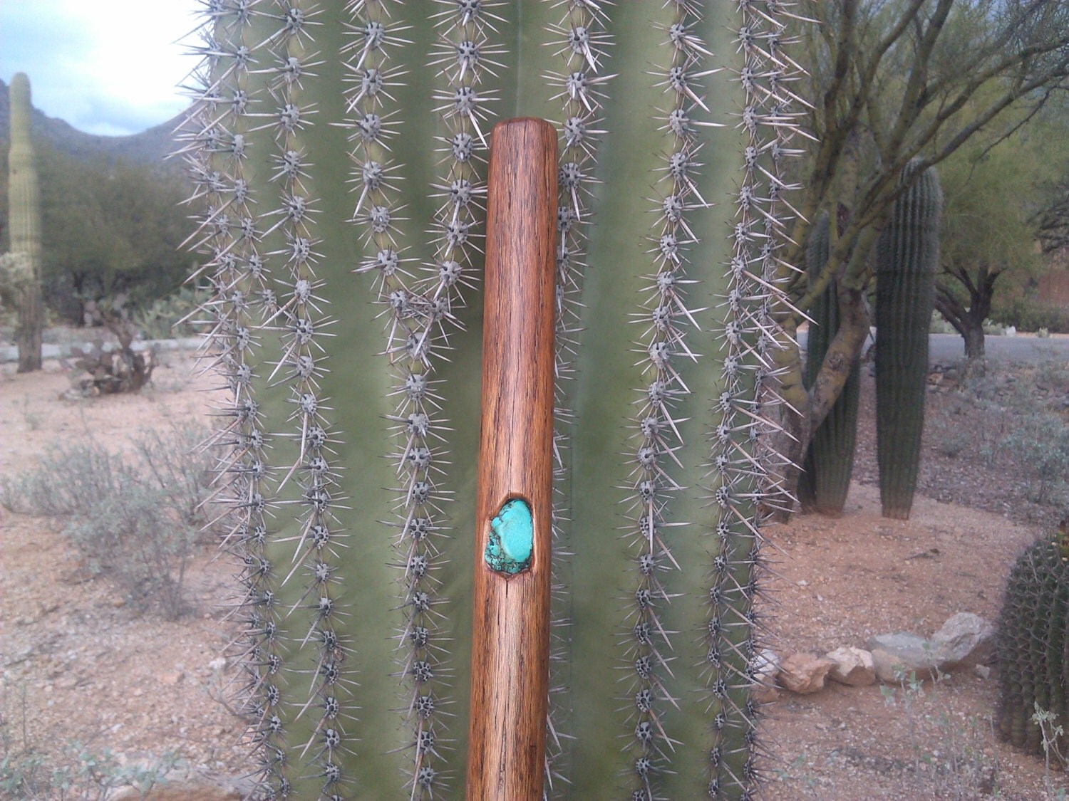 Custom Made Walking / Hiking Sticks.