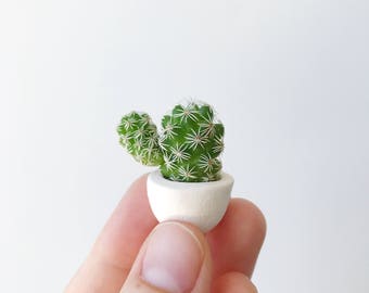 Thimble Cactus and Mini Ceramic Planter // Succulent Planter // Cactus