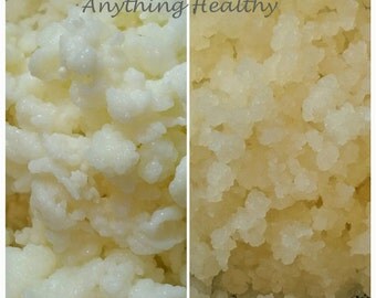 Combo: Milk and Water Kefir Grains Probiotic Culture Live Make Your Own Kefir Boost Immune System Bulgaros Tibicos Mushroom Yeast Bacteria