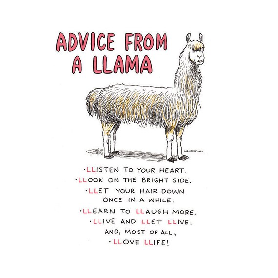 Llama Theme Quirky Llama Humor Gift For Student Funny