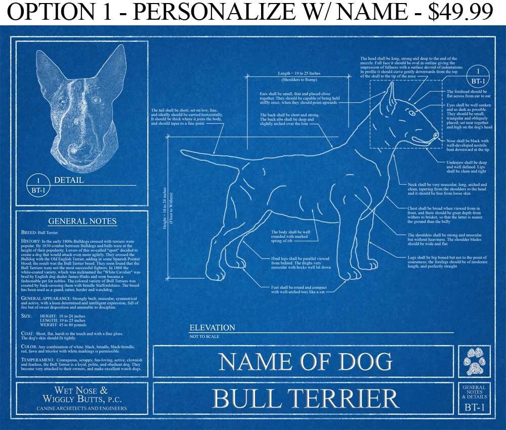 Personalized Bull Terrier Blueprint / Bull by WetNoseWigglyButts