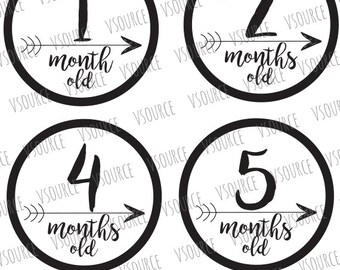 Baby Month Stickers - Baby Monthly Stickers - Baby Month Stickers Boy - Baby Month Stickers Girl - Baby Month Signs - Baby Month Onesies