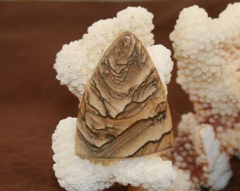African Queen Picture Jasper 38 x 29 Cabochon (2)