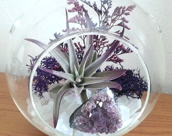 Air Plant Terrarium Kit Crystal Terrarium Large Hanging Terrarium Genuine Amethyst Cluster Birthday Gift Thank You Gift