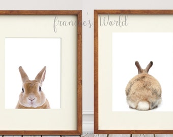 Bunny Rabbit Cottontail PRINT Rabbit butt, Woodland Animal Art, Baby Animal Print, Nursery Decor, Baby Animal Wall Art, Bunny Rabbit