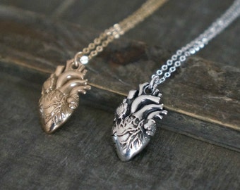 Anatomical Heart Necklace // Silver or Gold Realistic Heart Necklace / Valentines Day Gift for Her