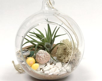 Beach Garden Airplant Terrarium Kit in Hanging Glass Globe • Tillandsia personalised gift present customise Birthday boho wedding planter