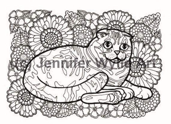 Download Scottish Fold Cat Colouring Page Coloring Book Printable