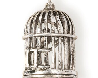 Birdcage Pendant (STEAM115)